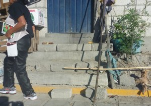 To be climbed several times per day with a pail of water at the age of 83.